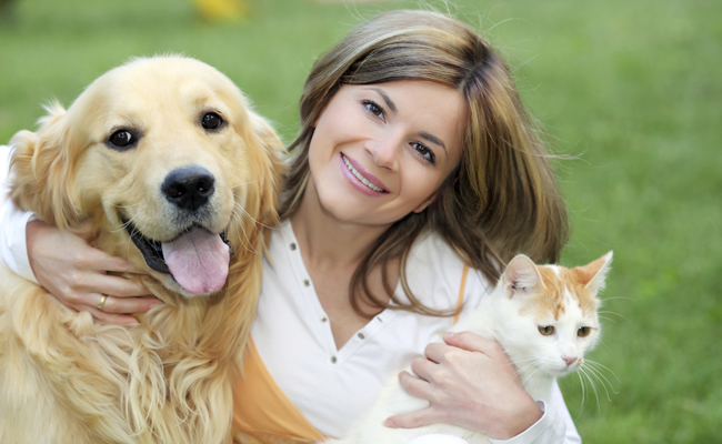 Productos antiparasitarios para perros y gatos