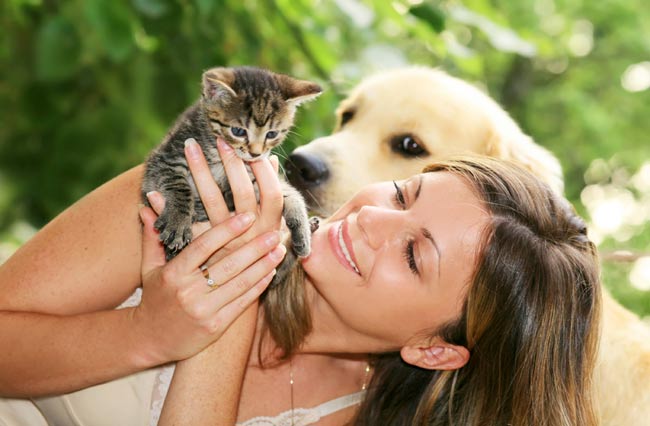 adiestramiento canino
