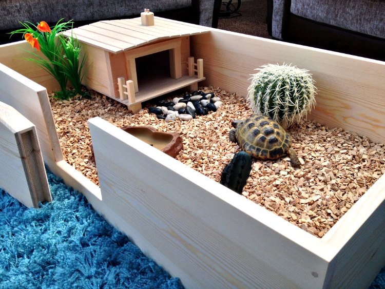 como hacer un terrario para tortugas como hacer un terrario para tortugas